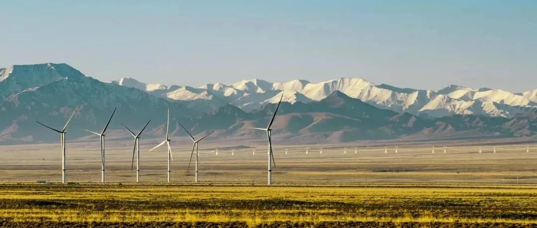 全国首个“以大代小”风电技改项目获备案！