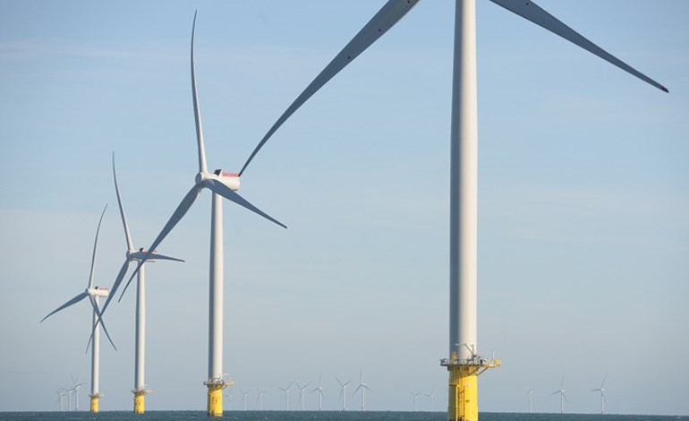 RWE联合塔塔发展印度海上风电