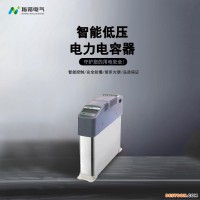 智能电容器-****温州指诺电气