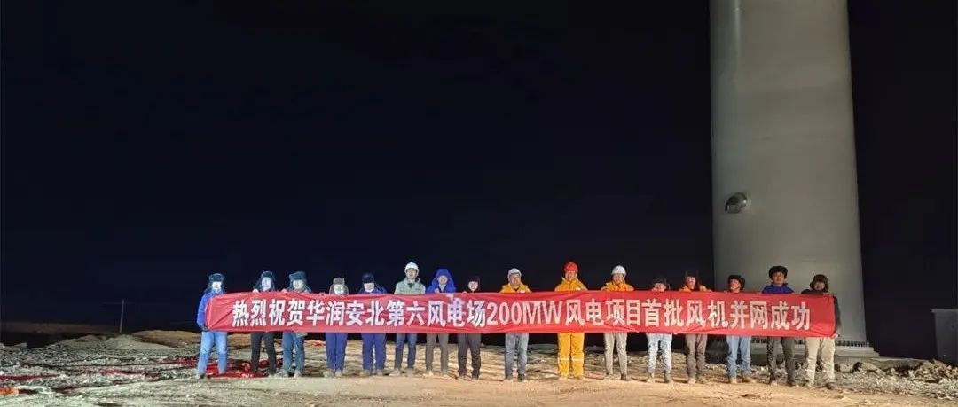 新年就要“虎”〡中国海装华润安北第六风电场B区首批机组成功并网