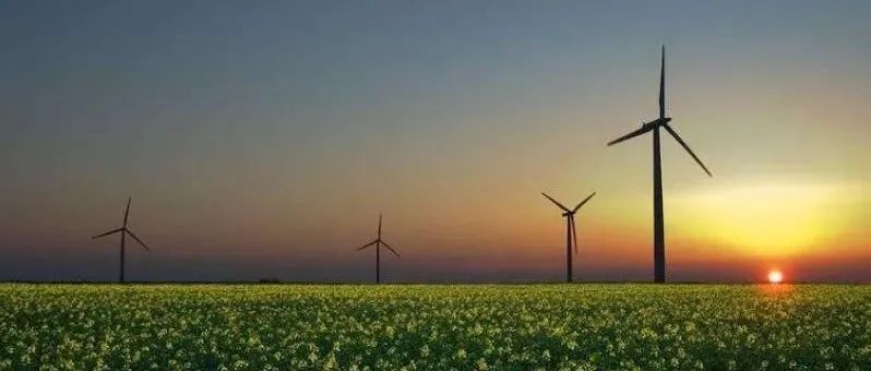 金风、远景、明阳预中标山东绿色能源东明100MW风电机组设备采购
