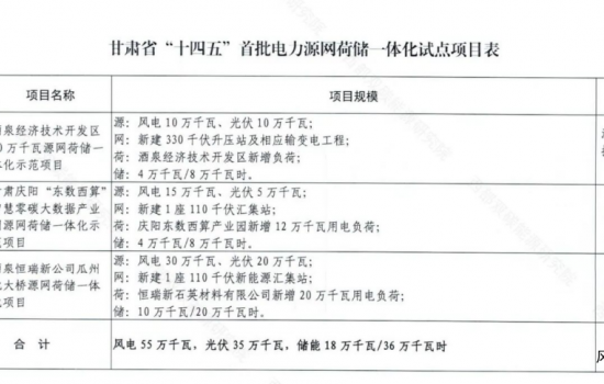 甘肃公布“十四五”首批电力源网荷储一体化试点项目表！