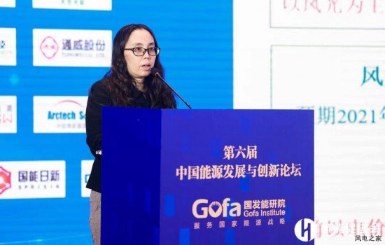 国家发改委能源研究所时璟丽：2030年风电、光伏发电累计装机要达到12亿千瓦以上