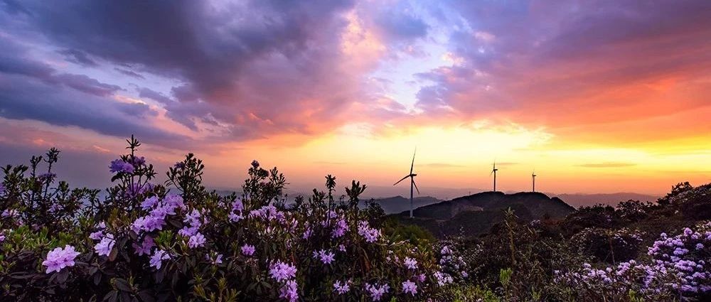 东方风电捷报 | 东方风电入围中核汇能2020年风力发电机组设备第一次框架集中采购