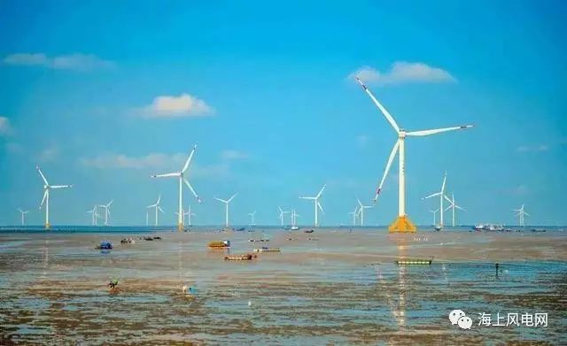 关注 中国海洋工程咨询协会调研大丰海上风电建设