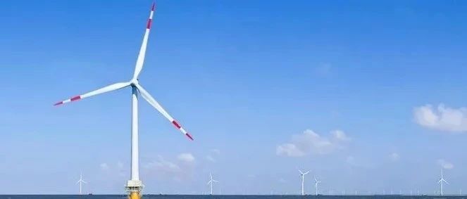 海上风电项目风电机组招标方案及评标办法研究