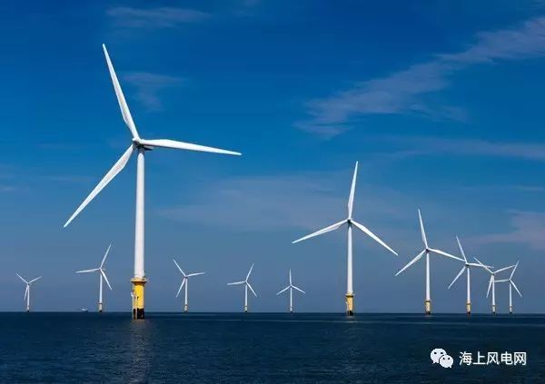 振华重工海上风电板块相关负责人与三峡新能源进行座谈