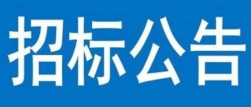 三峡新能源广东省阳江市阳西沙扒三四五期海上风电项目风电机组设备采购