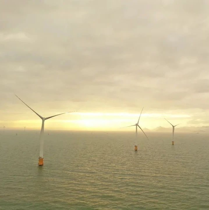 粤港澳大湾区装机容量最大海上风电项目首批机组成功并网