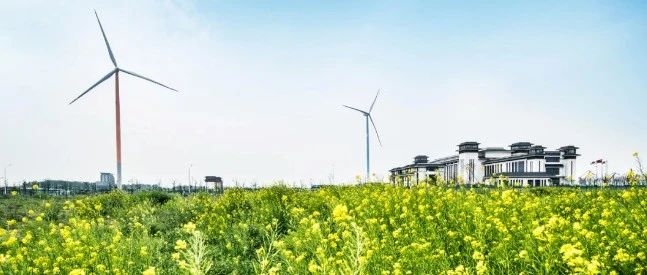 朔州能源局 分散式风电项目2021年底必须投产，运行5年以上风电项目推进技改扩容！