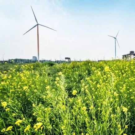 全国首个！北京电力交易中心发布首个可再生能源电力超额消纳量交易规则！