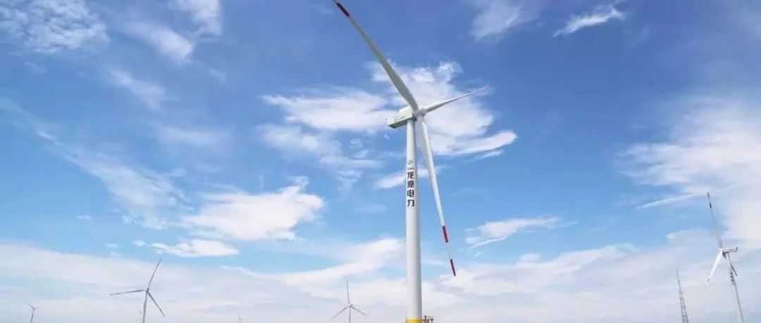单机≥6MW！上海奉贤20万千瓦海上风电项目开始招标！