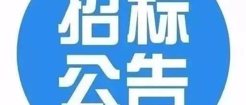 中广核惠州及后湖海上风电场风机安装工程Ⅱ标段招标公告